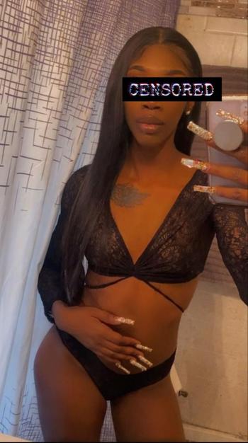 4143385334, female escort, Rockford